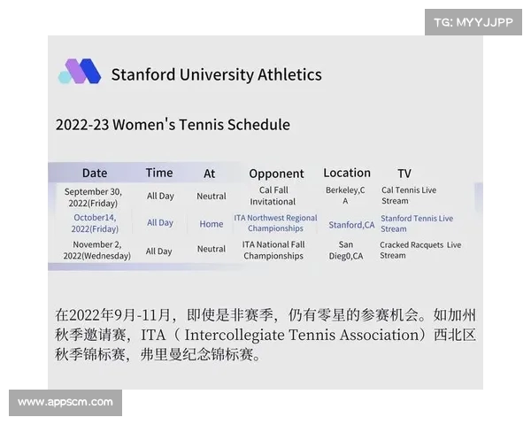 网球赛事全程报道与分析 深度解读顶级选手赛事表现与战术博弈 网球赛事全程报道与分析 深度解读顶级选手赛事表现与战术博弈