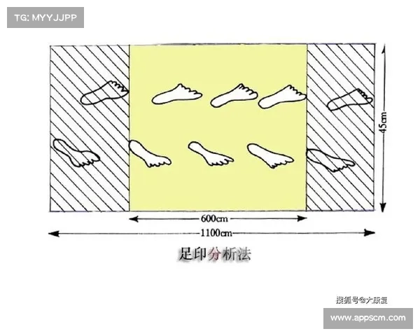 提升训练效果的全方位记录与分析方法探索与实践